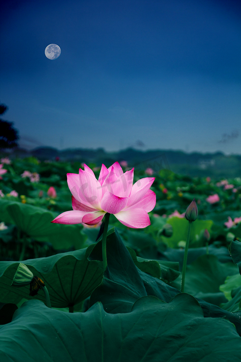 Anker Speaker Soundcore Motion+ - Anker için Saklama Çantası -Soundcore Motion+